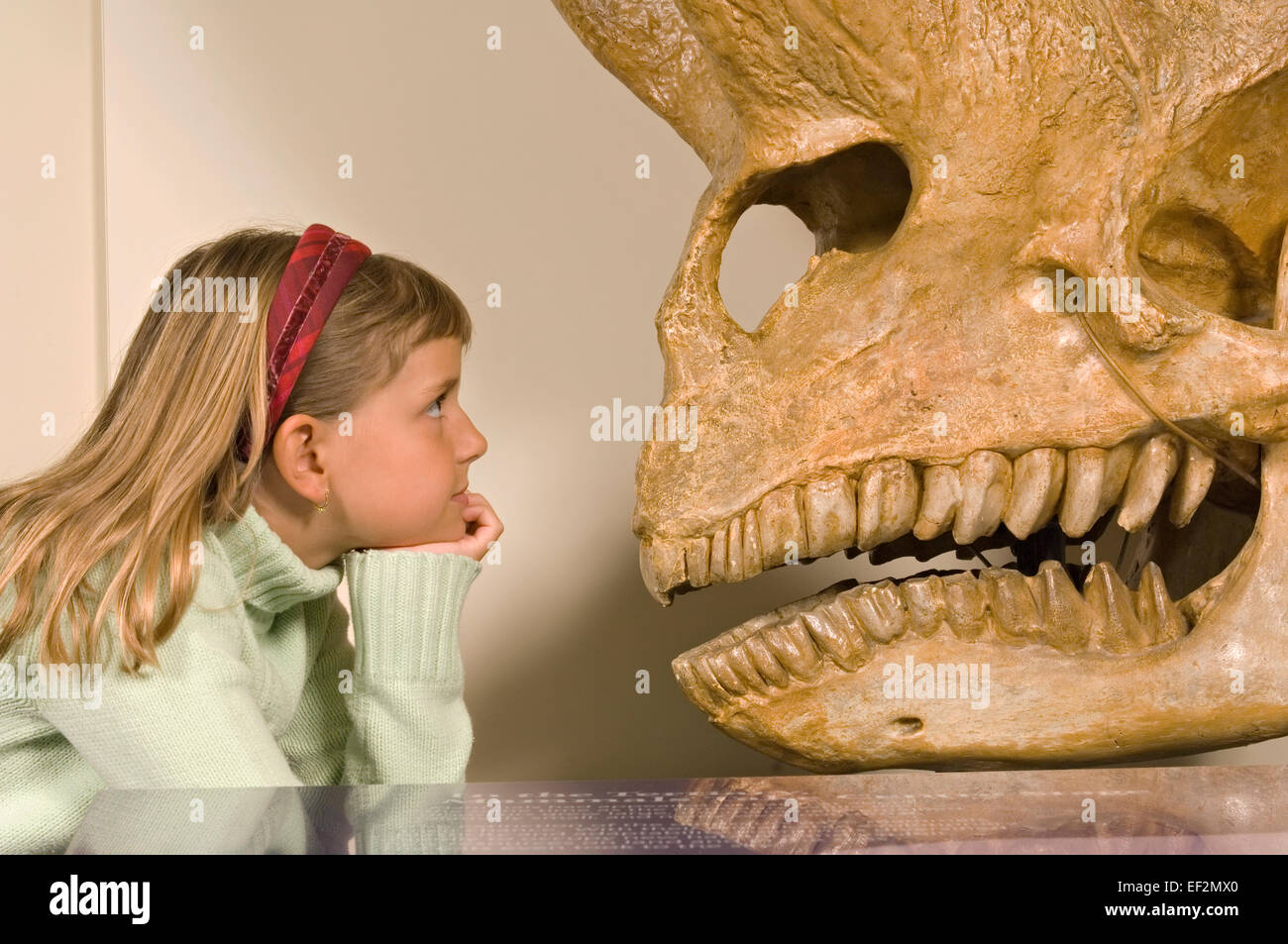 Giovane studente in museo da fossili di dinosauro display Foto Stock