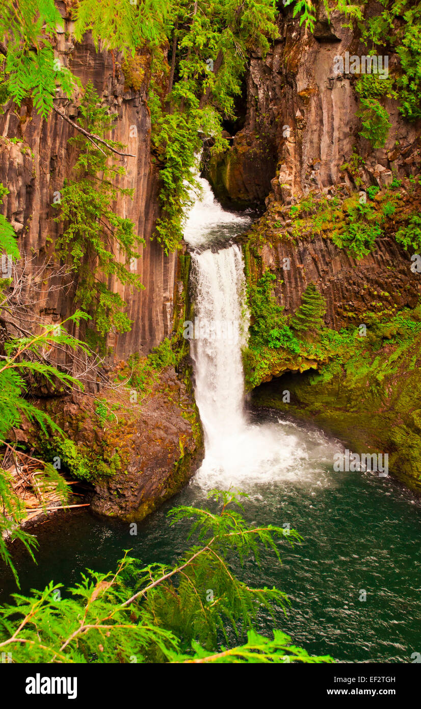 Affacciato sulla bellissima Tokatee cade in Oregon Foto Stock