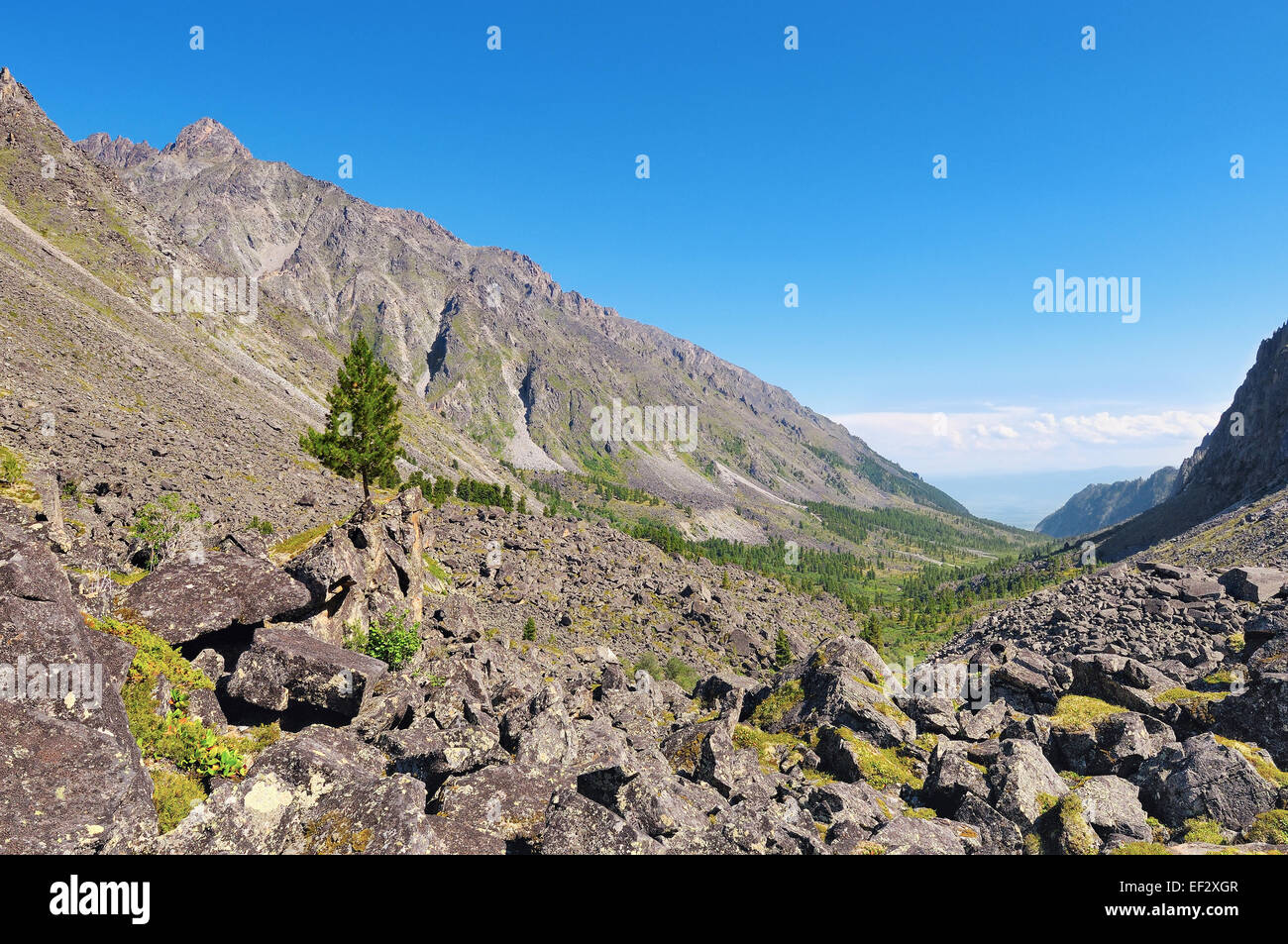 Esecuzione di pietra di frammenti acuti di rocce nelle montagne del Sayan orientale Foto Stock