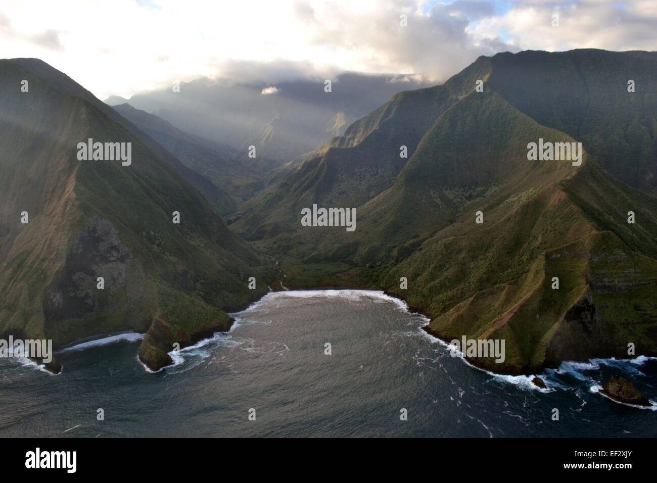 Molokai's scogliere sul mare, il più alto sulla terra, Molokai, Hawaii Foto Stock