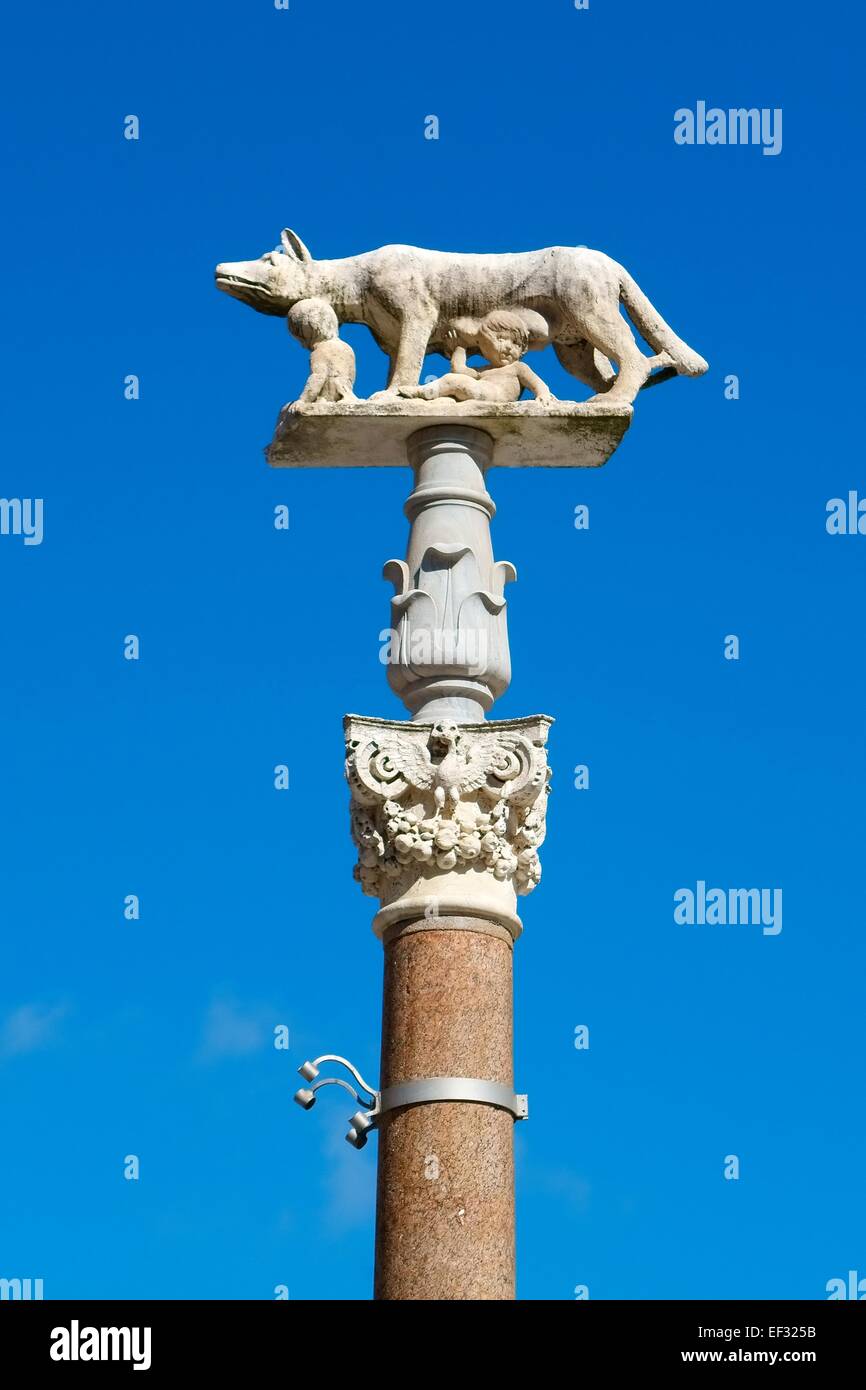 Pilastro della lupa con Romolo e Remo di fronte al Duomo di Siena, Cattedrale di Santa Maria Assunta, Siena Foto Stock