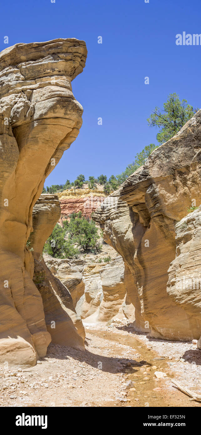 Sentiero escursionistico attraverso willis creek canyon, kanab, Utah, Stati Uniti Foto Stock