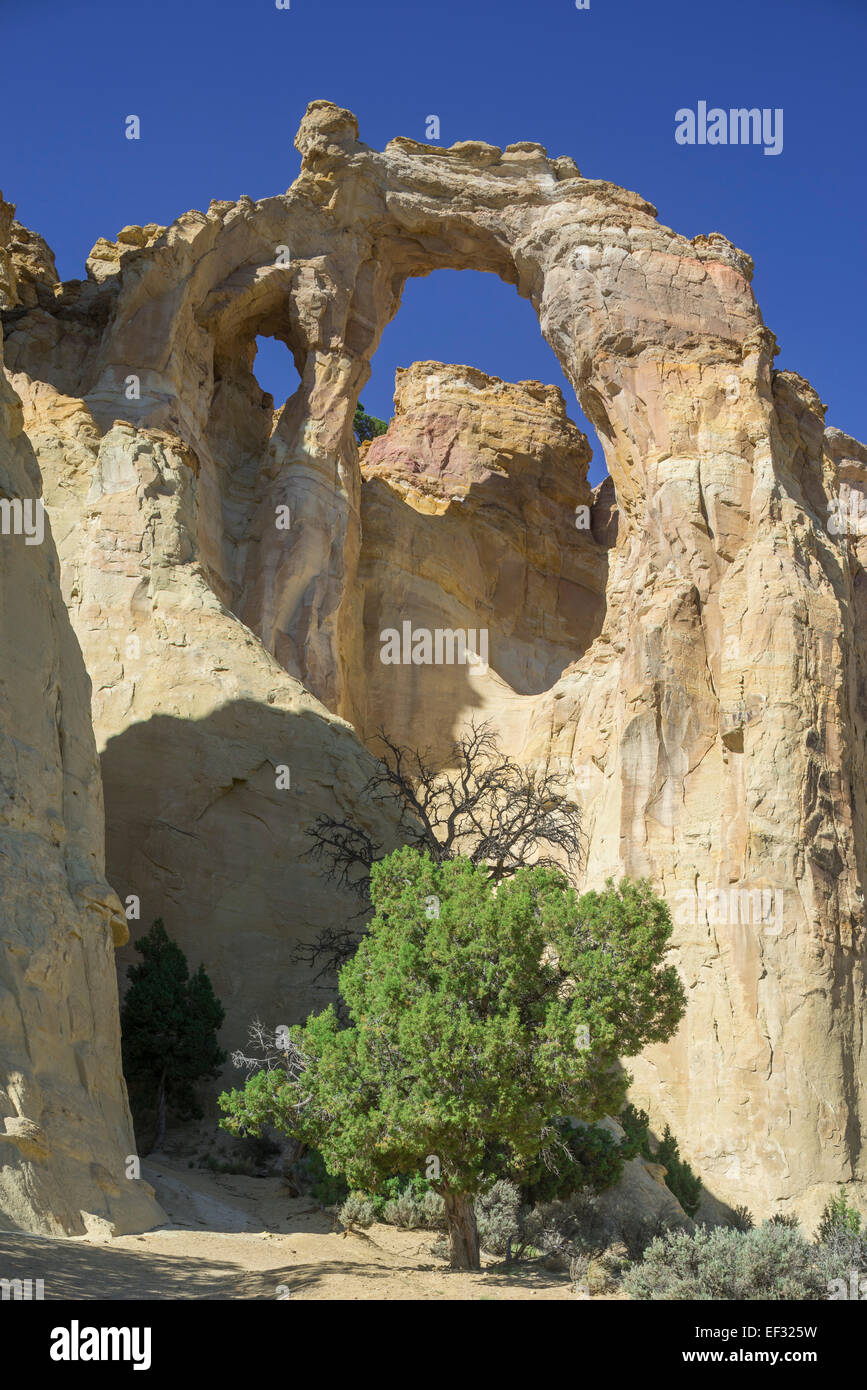 Formazione di roccia, pioppi neri americani canyon road, Utah, Stati Uniti Foto Stock