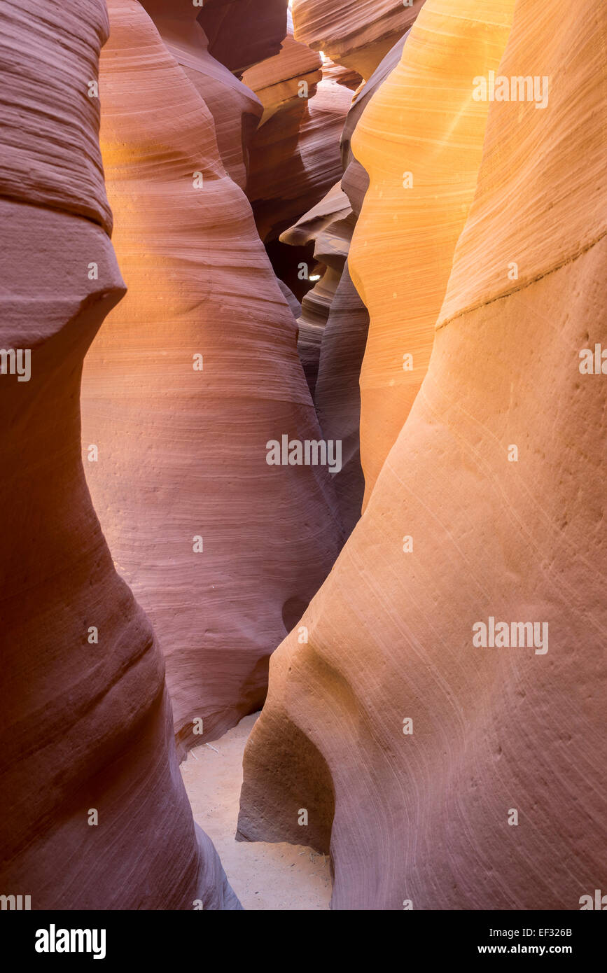 Abbassare Antelope Canyon, pagina, Arizona, Stati Uniti Foto Stock