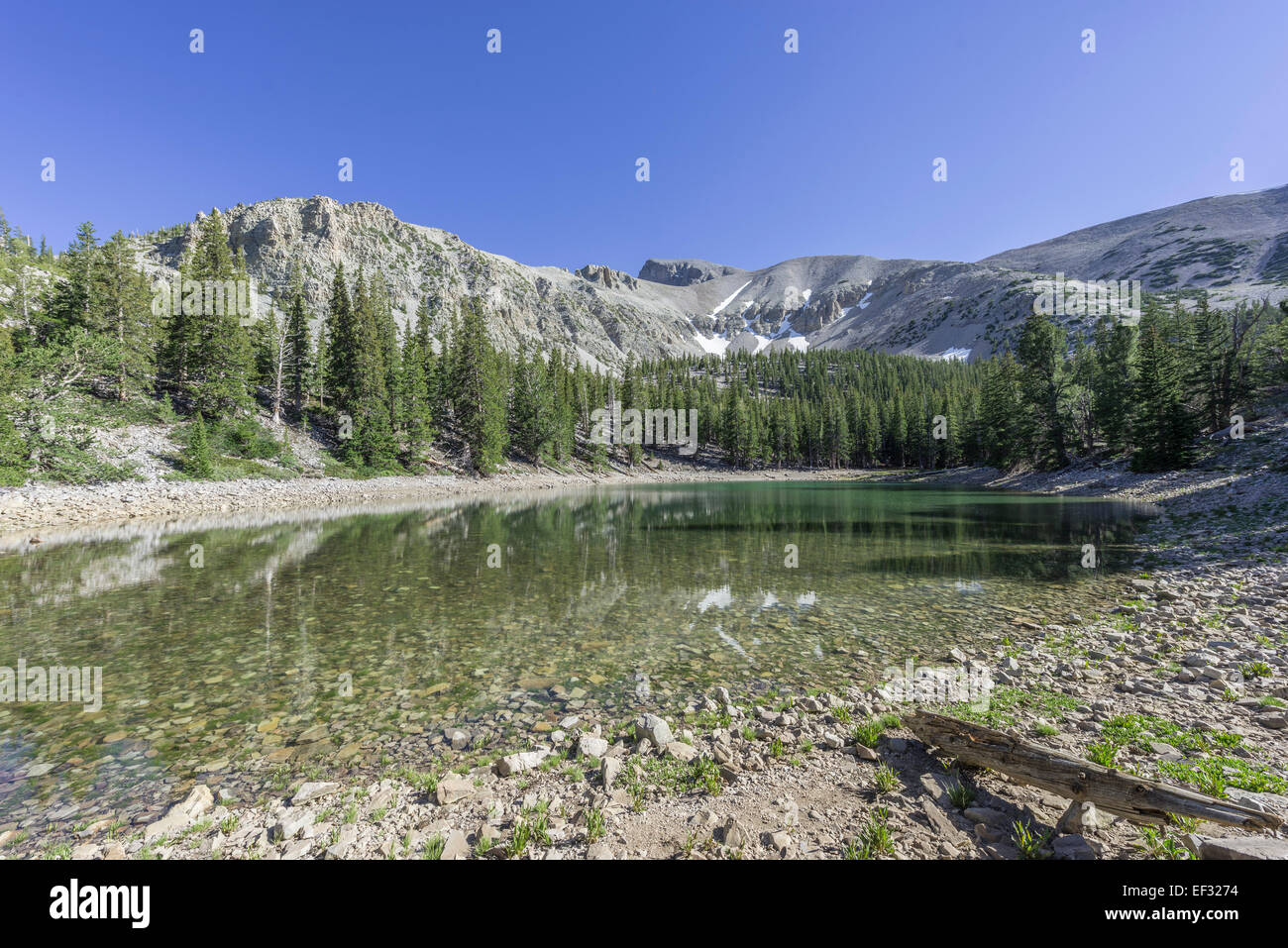 Teresa lake, il Parco nazionale Great Basin, baker, Nevada, Stati Uniti Foto Stock