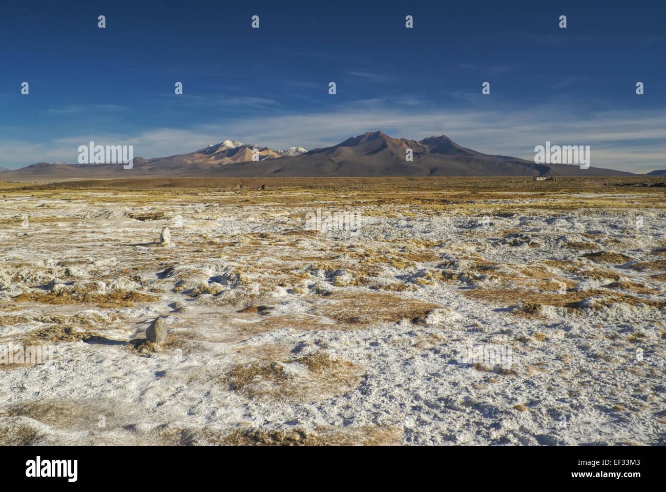 Vista pittoresca del boliviano Sajama Parco nazionale e di alcune delle sue vette più alte Foto Stock