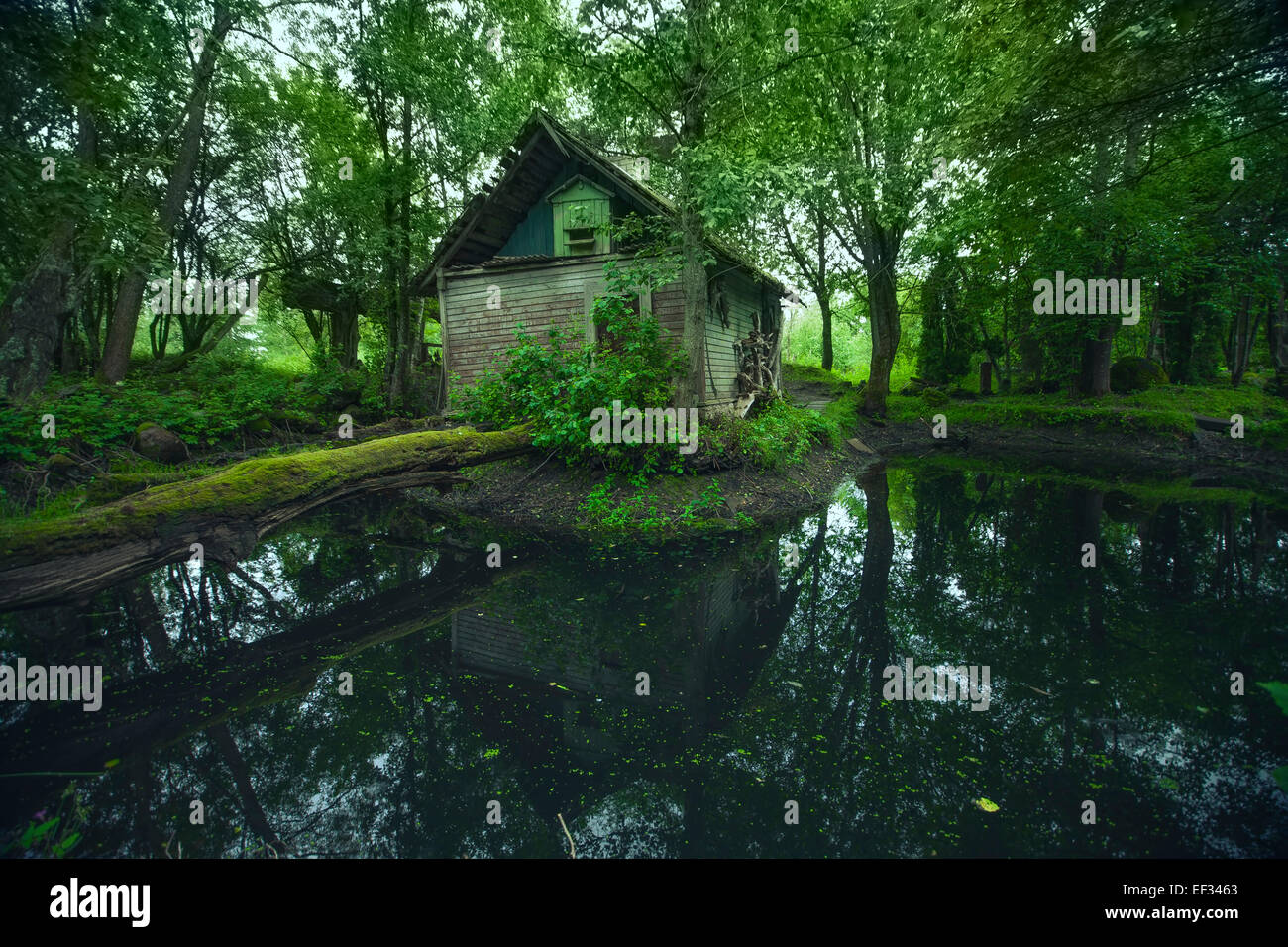 Abbandonato il vecchio mistico casa nella foresta di Lituania Foto Stock