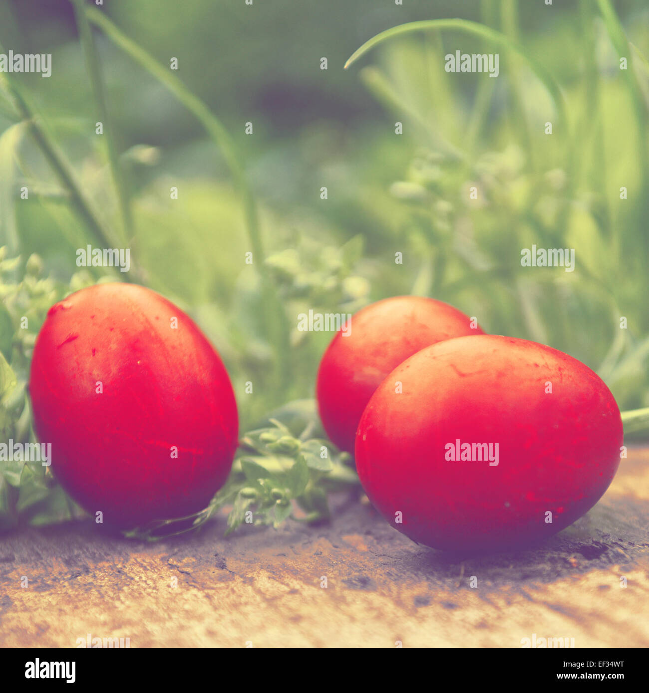 Rosso Uova di Pasqua in erba verde. Felice Pasqua, Christian festività religiosa. Foto Stock