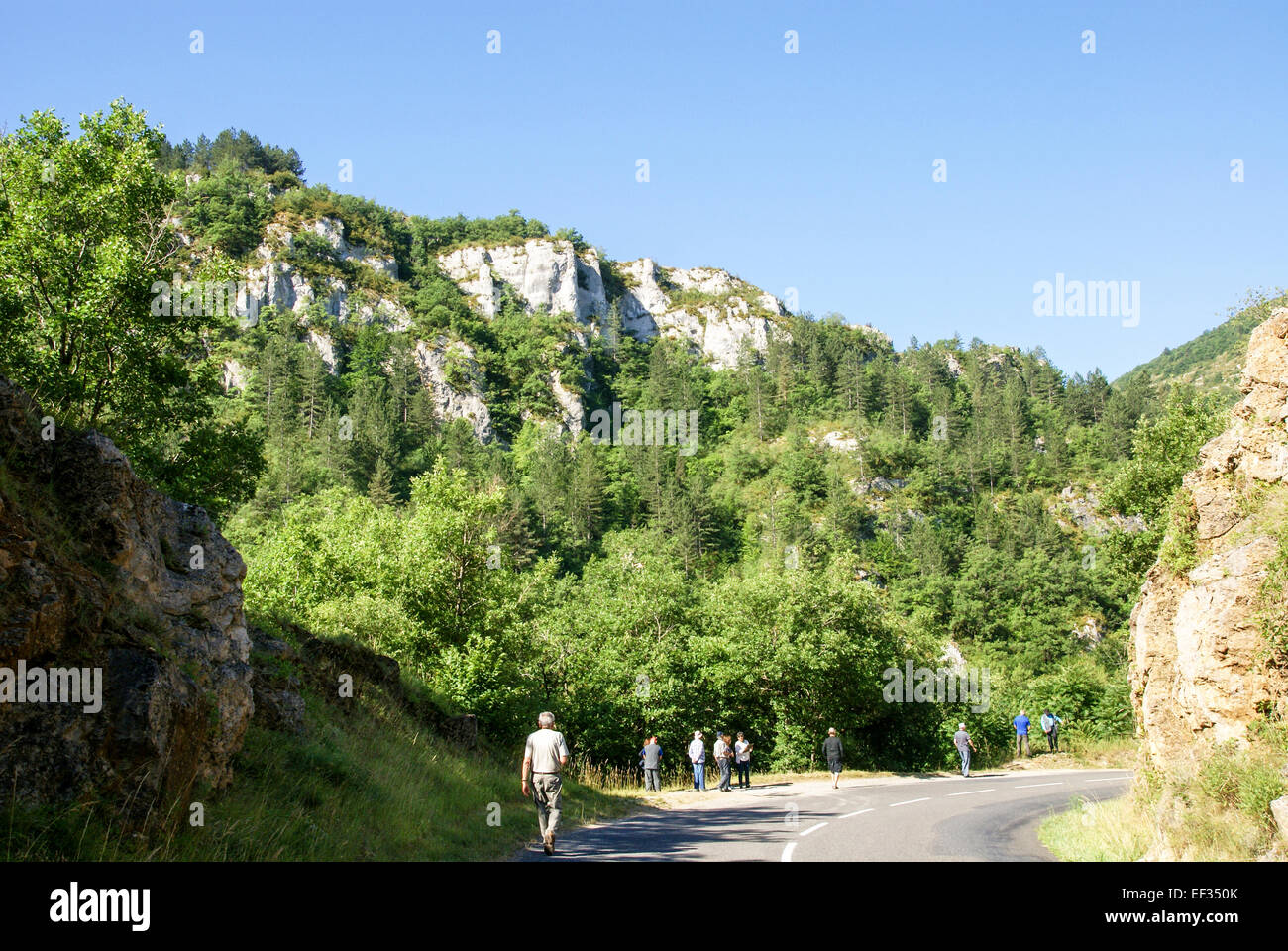 Gorges du Tarn è un canyon formato dal fiume Tarn, Provenza, Francia Foto Stock