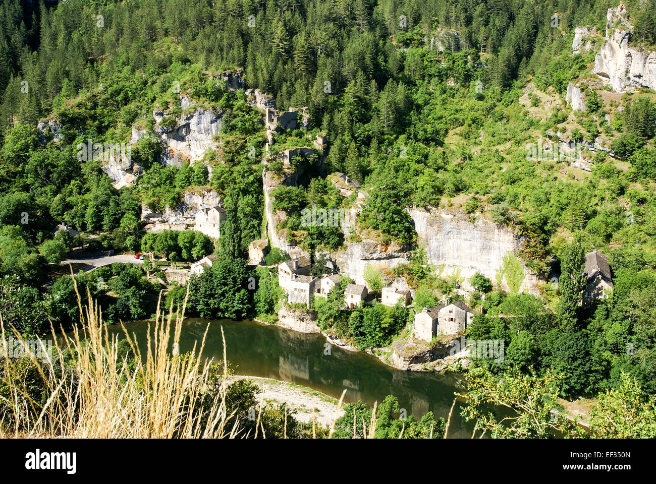 Gorges du Tarn è un canyon formato dal fiume Tarn, Provenza, Francia Foto Stock