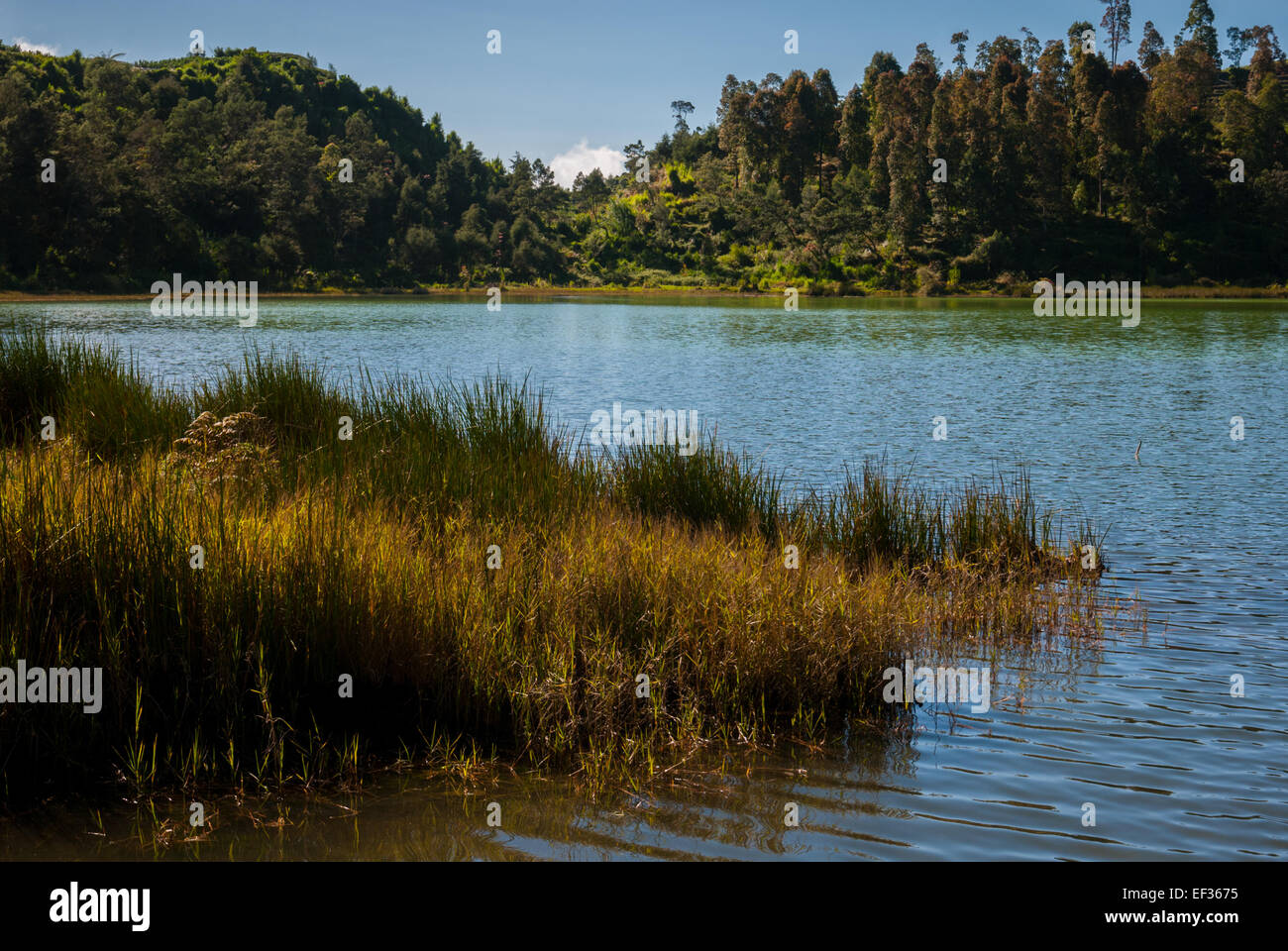 Lago Telaga Warna, un lago solforico sull'altopiano di Dieng, che si trova amministrativamente in Kejajar, Wonosobo, Giava Centrale, Indonesia. Foto Stock