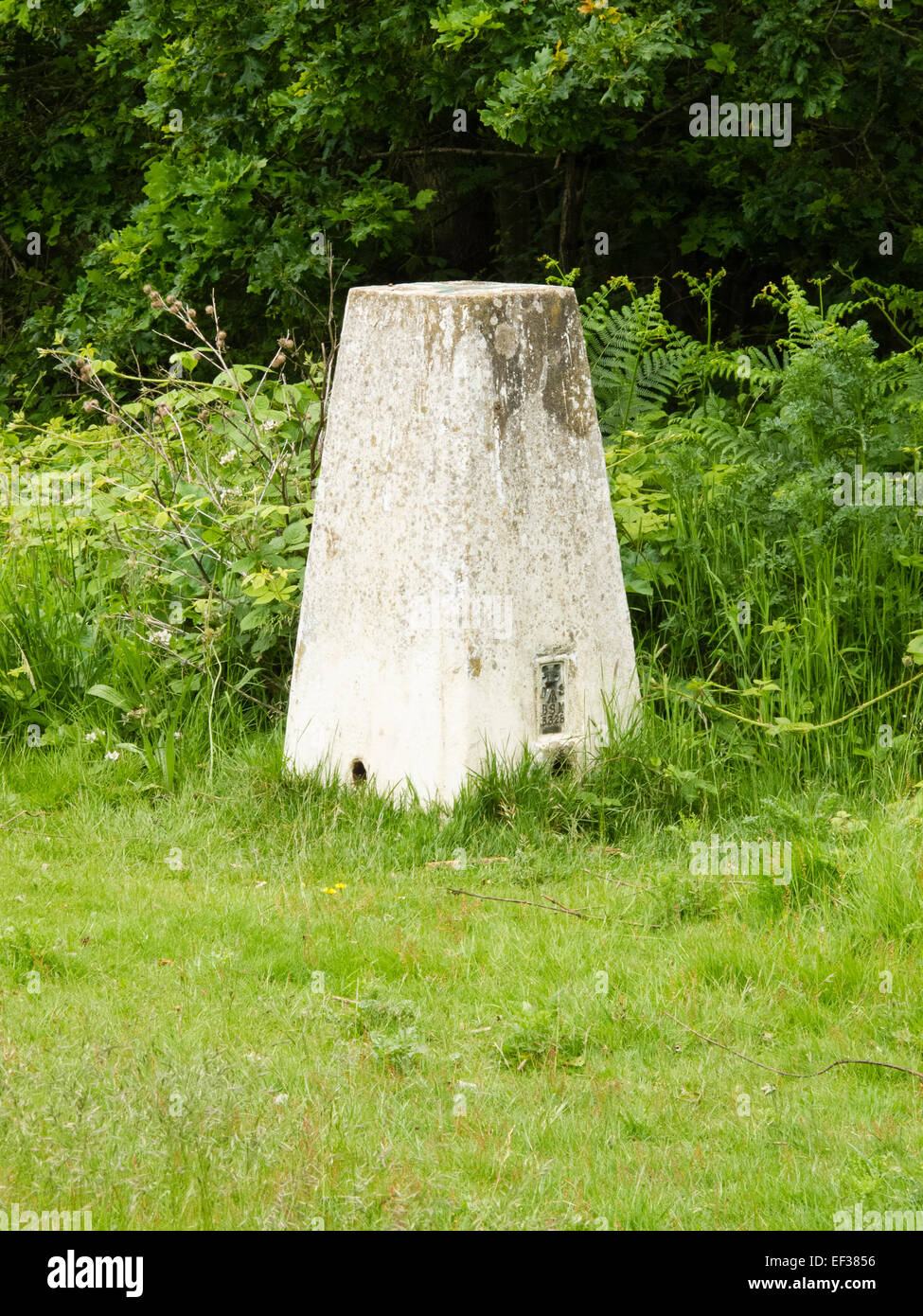 Ordnance Survey punto Trig Greensand modo Priory Park, Reigate, Surrey, Regno Unito Foto Stock