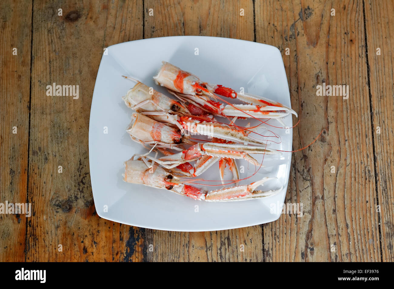 Teste di gamberi Foto Stock
