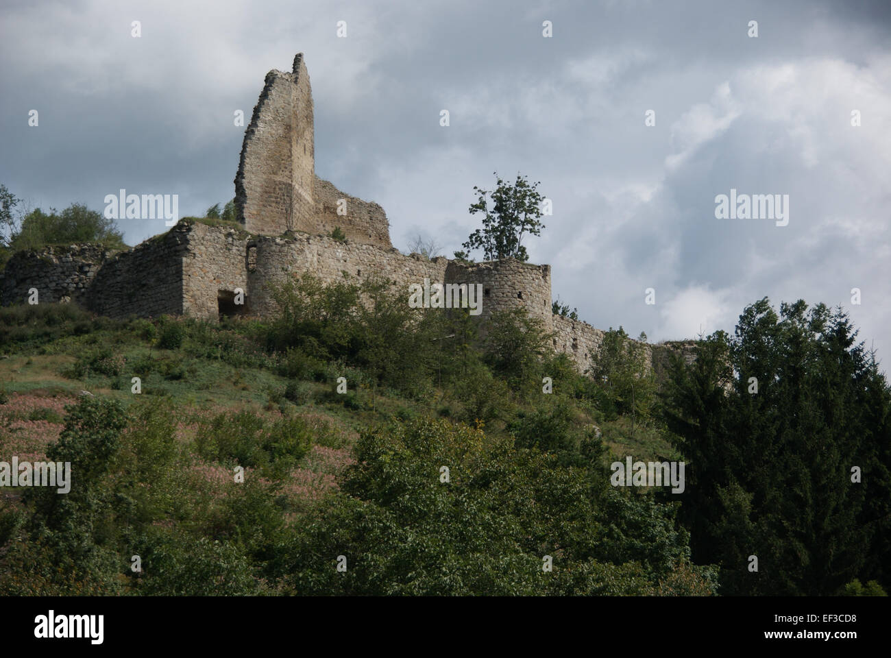 Questa immagine è della serie Ruttenstein, che mostra una visione storica dell'area nella sua forma originale. La fotografia documenta il paesaggio e le caratteristiche principali di Ruttenstein, dando uno sguardo all'ambientazione storica della regione. Foto Stock
