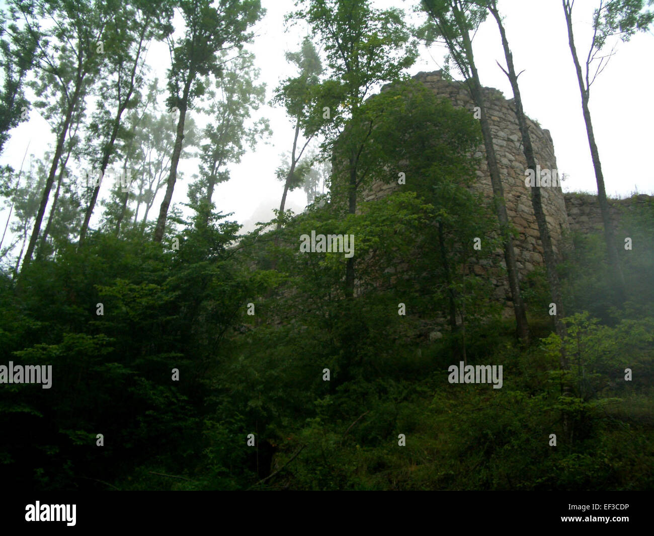 Una raffigurazione del muro difensivo di Ruttenstein, che mostra la struttura fortificata di epoca medievale. L'opera d'arte fornisce informazioni sull'architettura difensiva utilizzata in quel periodo. Foto Stock