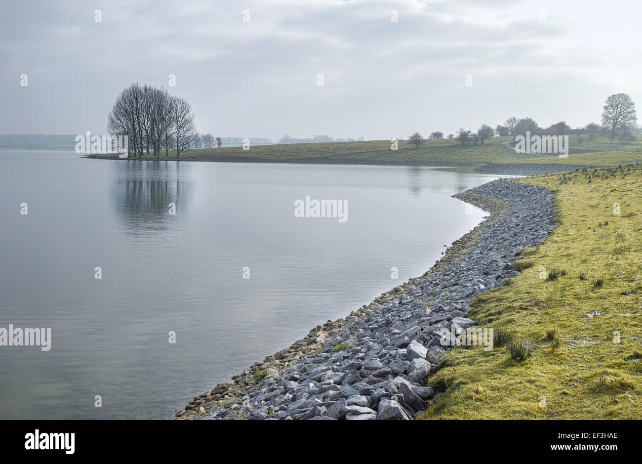 Calma giorno in inverno come un intrico di alberi è riflessa nelle acque di un lago. Foto Stock