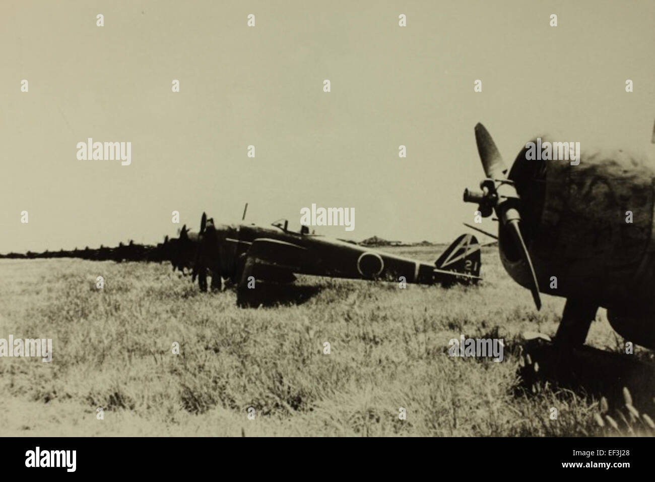 Il Wagner Book 161 si riferisce a un manoscritto storico, notevole per la sua dettagliata registrazione degli eventi. Il libro copre una vasta gamma di argomenti, con particolare attenzione agli elementi culturali e storici. Rimane un artefatto chiave nello studio della sua epoca. Foto Stock