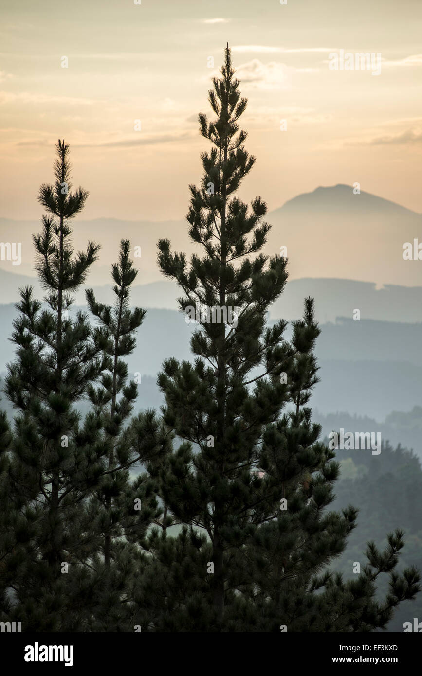 Biscaglia mountain range nei pressi di Mendieta area. Paesi Baschi, Spagna Foto Stock