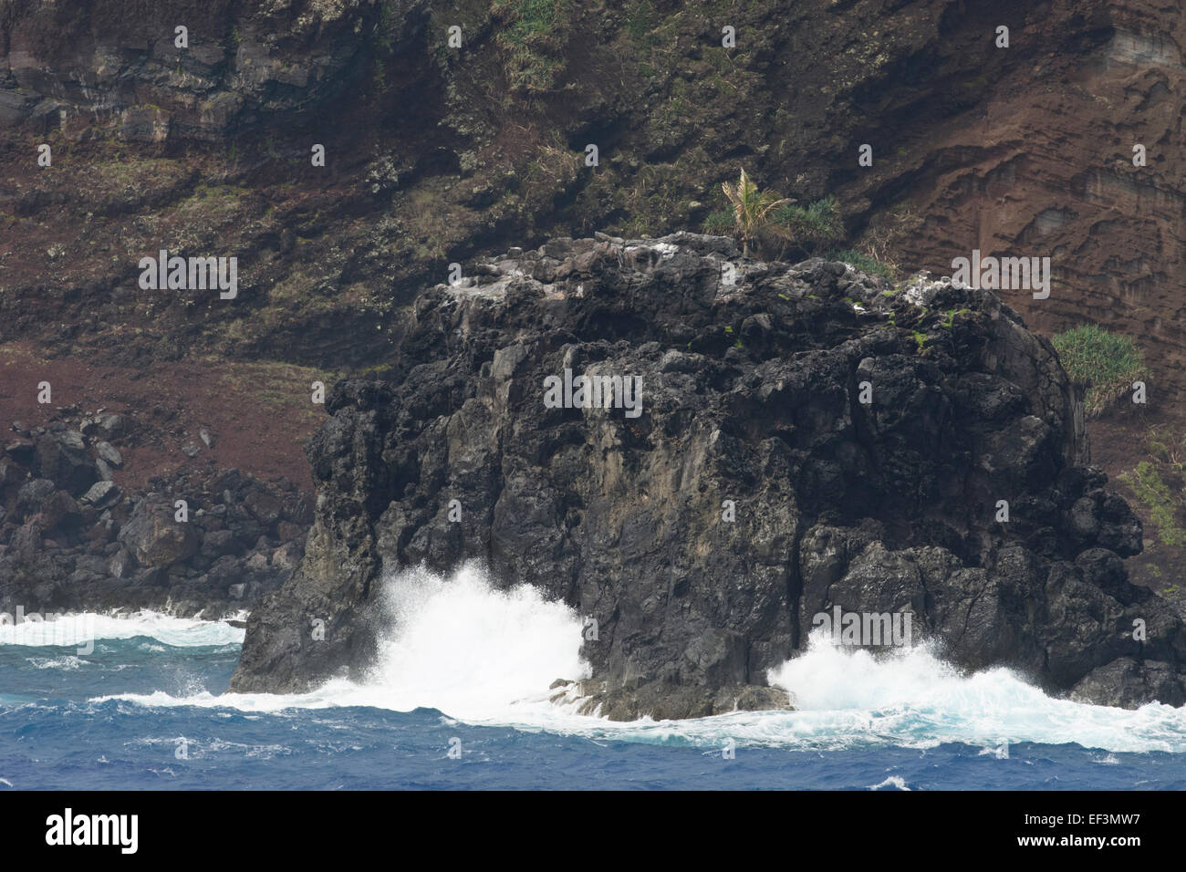 Isole Pitcairn, Pitcairn Island. Vista costiera del robusto shore vulcanica di Pitcairn. Mare mosso. Foto Stock