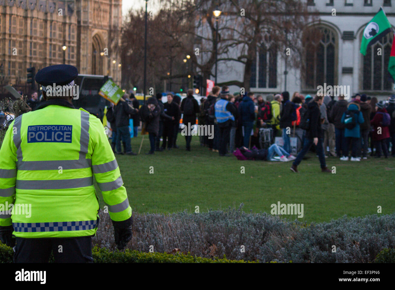 Il 24 gennaio 2014, Londra. I manifestanti di dimostrare il loro diritto di protestare su piazza del Parlamento nel corso di occupare la democrazia. Foto Stock