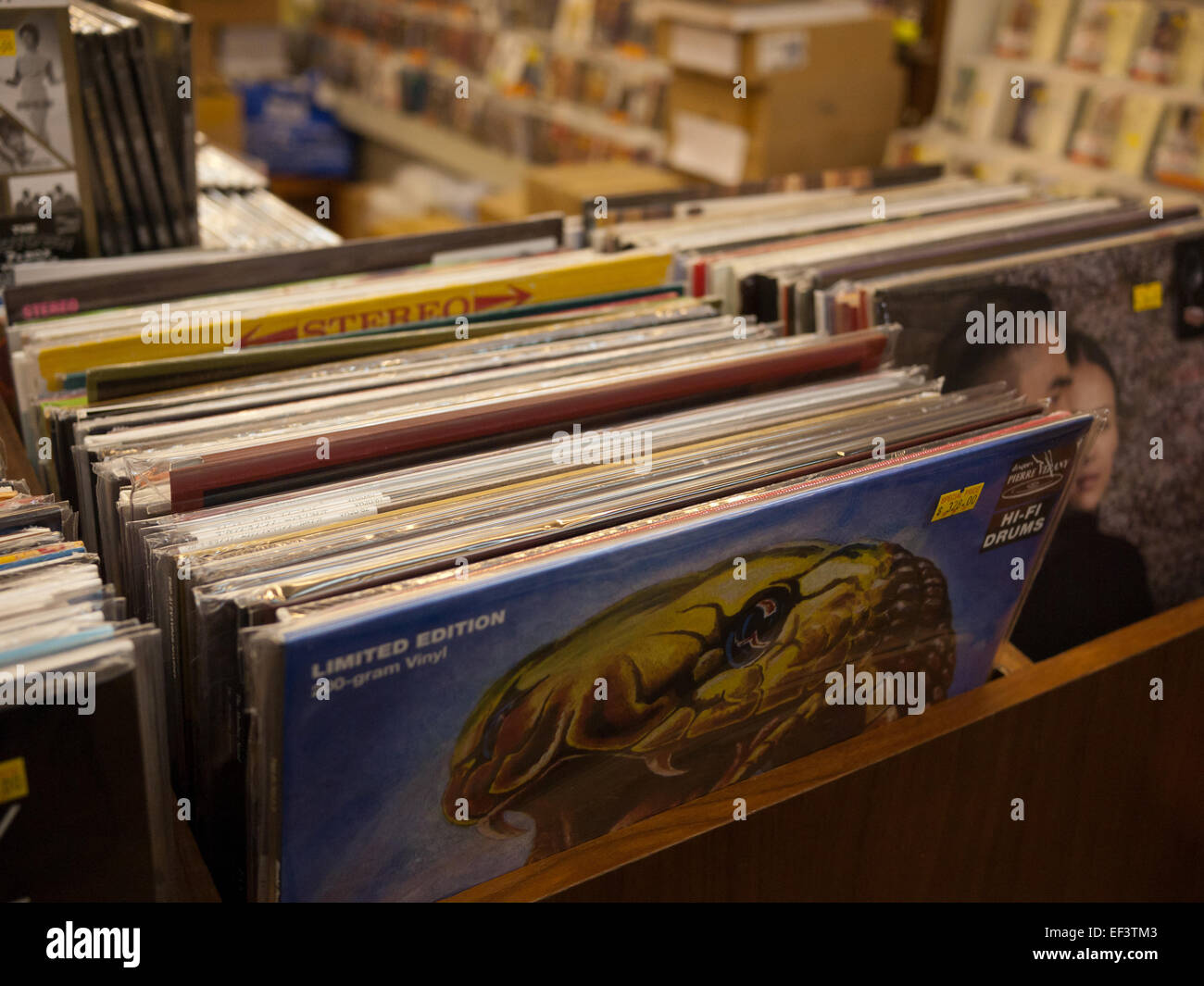 Musica dischi in vinile in negozio Foto Stock