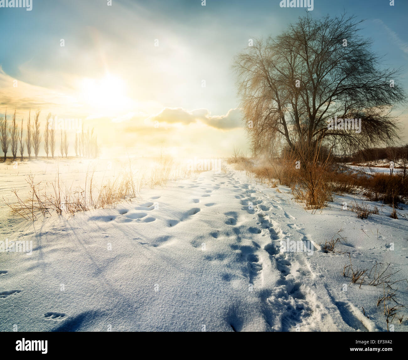 Nevoso Inverno in campagna a mattina di sole Foto Stock