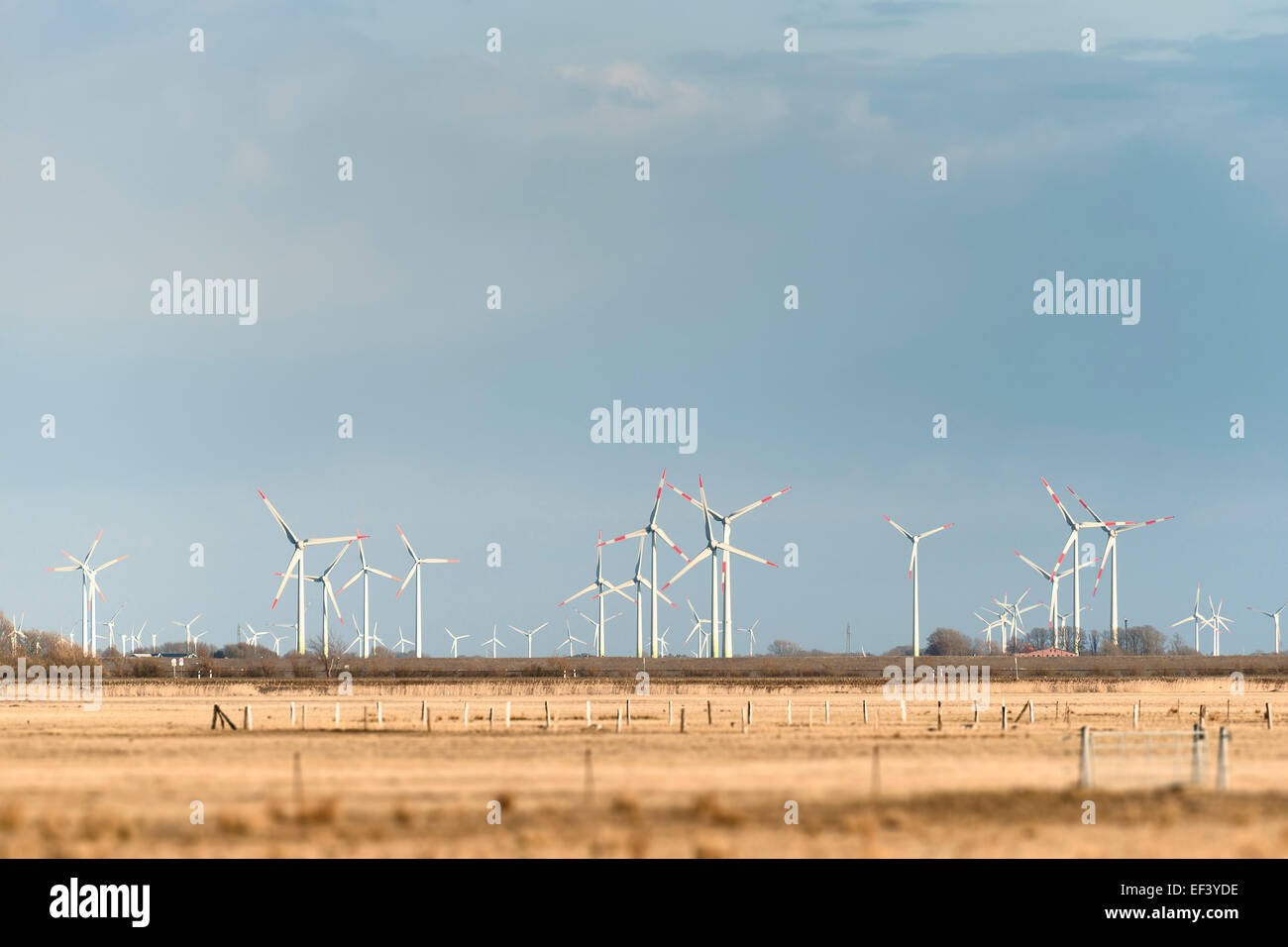 Mulini a vento del nord della Germania su un campo in una giornata di sole Foto Stock