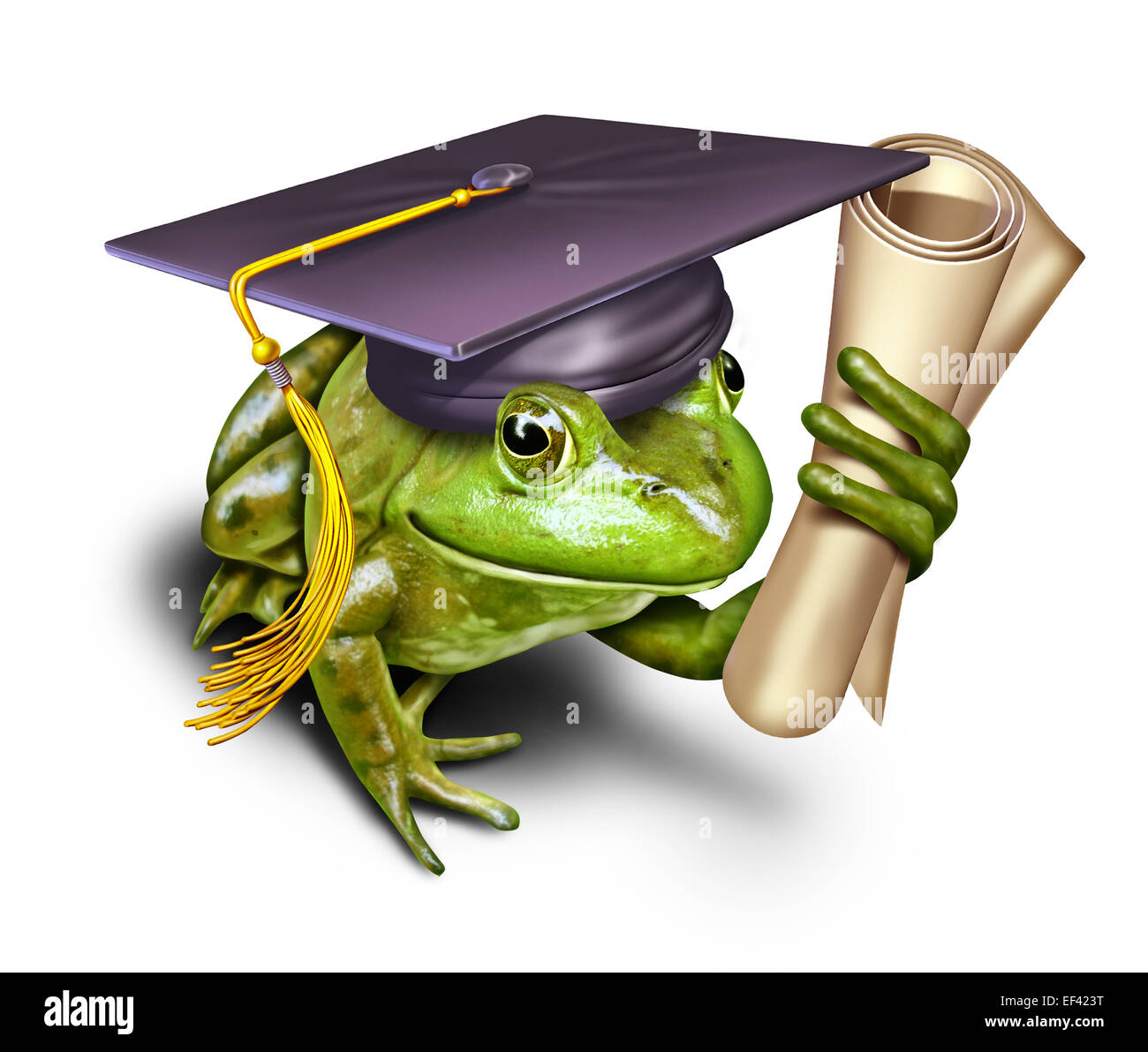 Educazione ambientale come simbolo di una rana verde studente indossando un mortaio di graduazione di trattenimento tappo di una università o un diploma di scuola media superiore come una metafora per l'apprendimento di conservazione e rispetto per la natura. Foto Stock