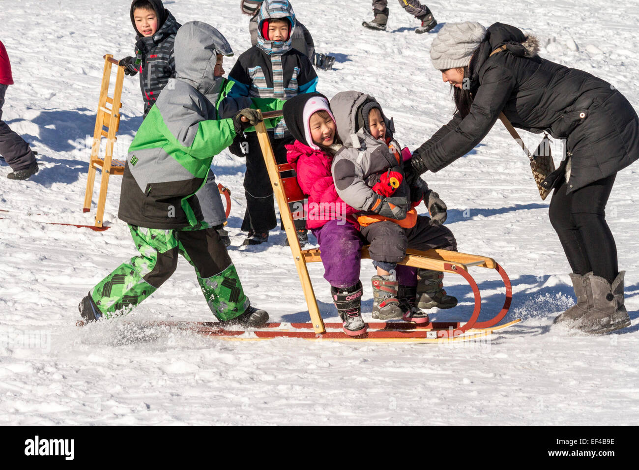 Bambini asiatici e la loro madre hanno divertimento utilizzando una slitta trainata da cani come lo slittino presso il festival di inverno in Cannington Ontario Foto Stock