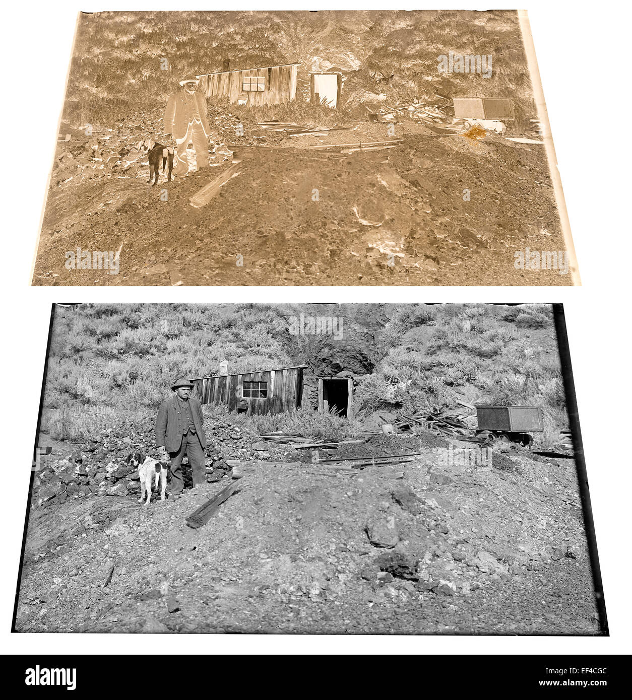Fine del XIX secolo o inizio del XX secolo la piastra di vetro negativo e positivo della stampa di una miniera, minatore e il suo cane in Idaho, Stati Uniti d'America Foto Stock