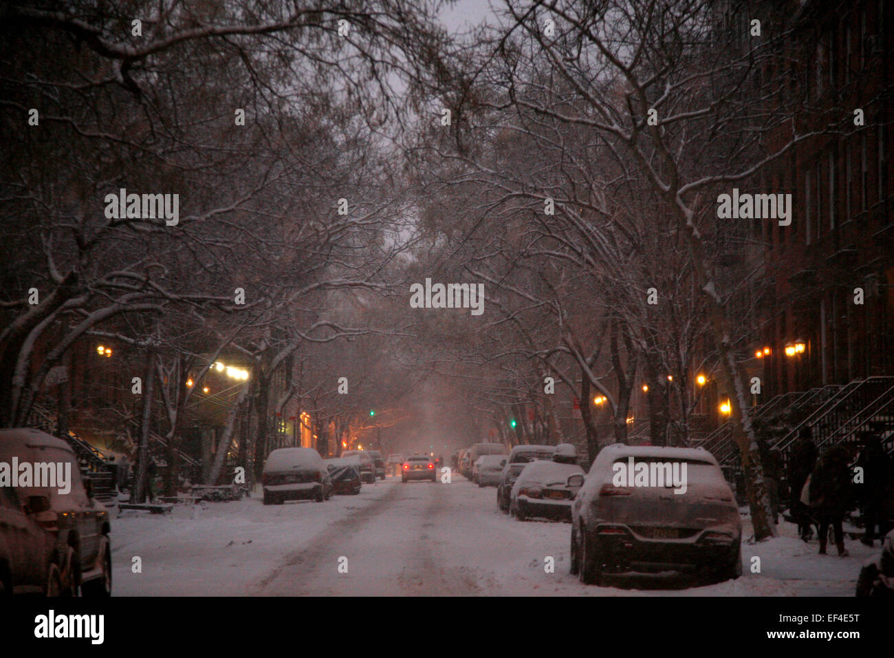 New York, Stati Uniti d'America. Il 26 gennaio, 2015. La neve cade nella zona di Chelsea di Manhattan nel pomeriggio di gennaio 26th, 2015 come New York e la maggior parte della costa est degli Stati Uniti preparato per che cosa può essere una storica blizzard con possibili accumuli di 2-3 piedi. Credito: Adam Stoltman/Alamy Live News Foto Stock