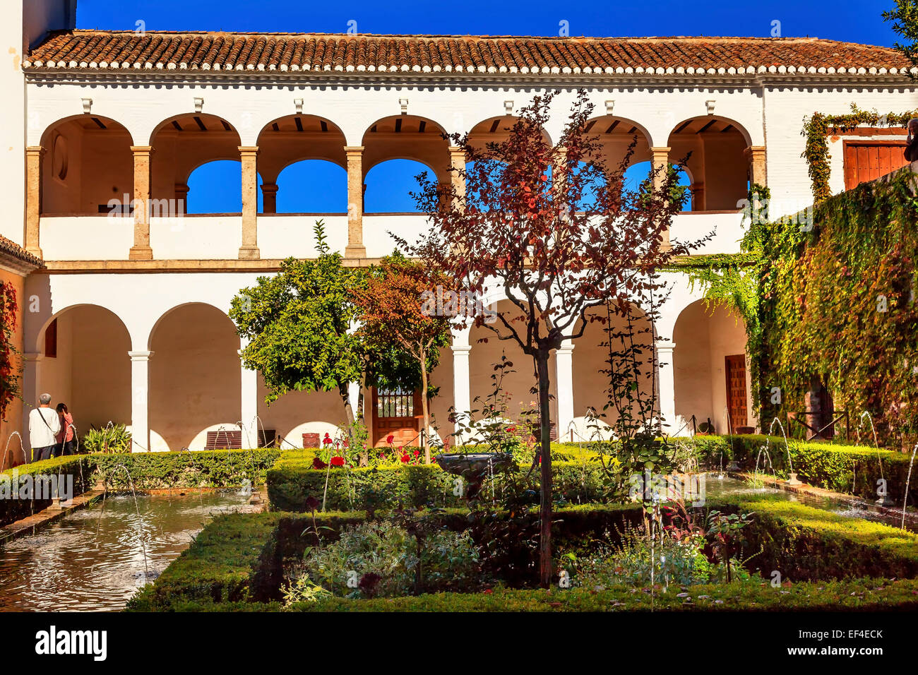 Generallife Alhambra Palace bianco Arancio Giardino Granada Andalusia Spagna Foto Stock