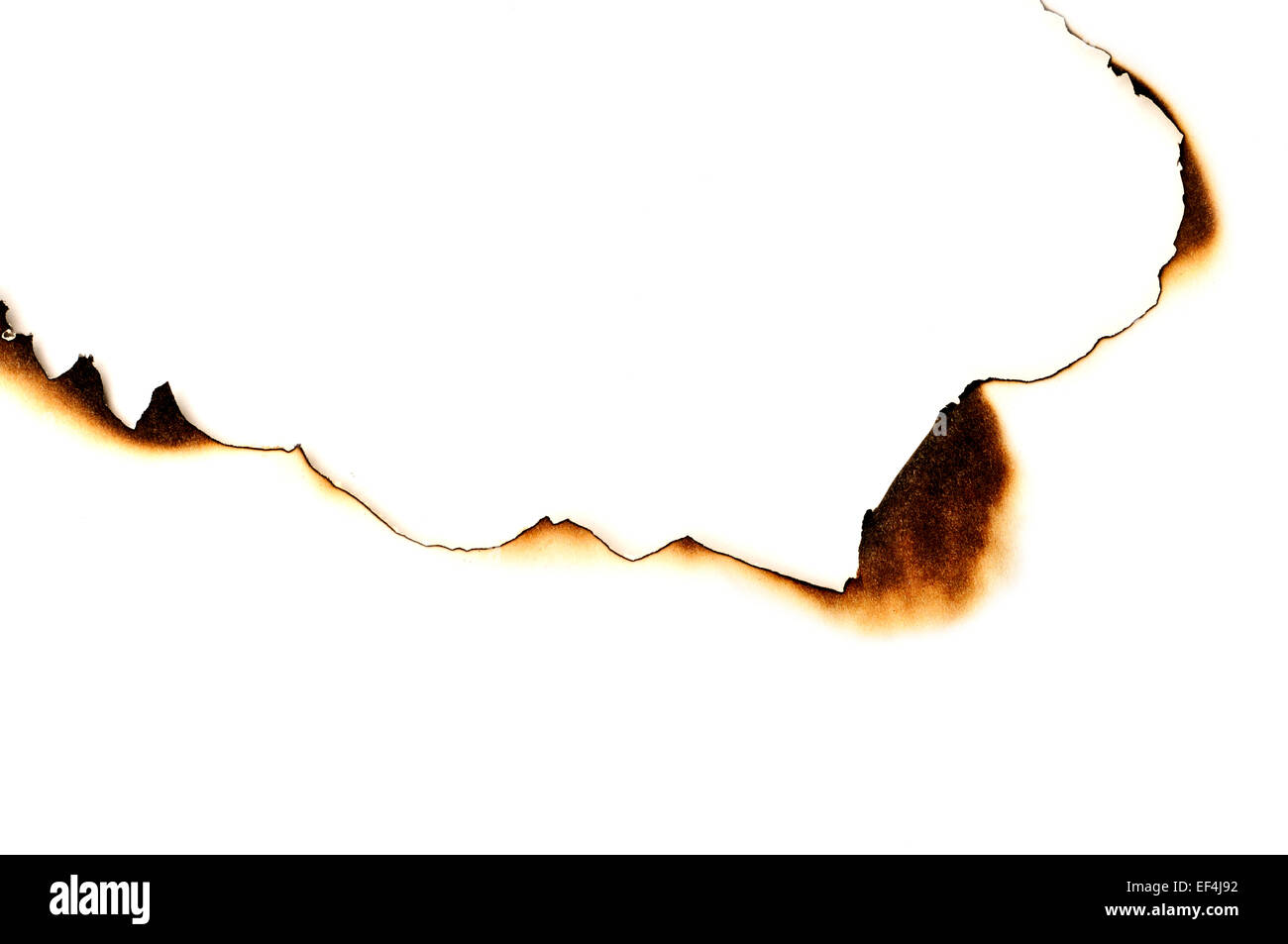 Primo piano di un olocausto libro bianco su sfondo bianco con uno spazio vuoto Foto Stock