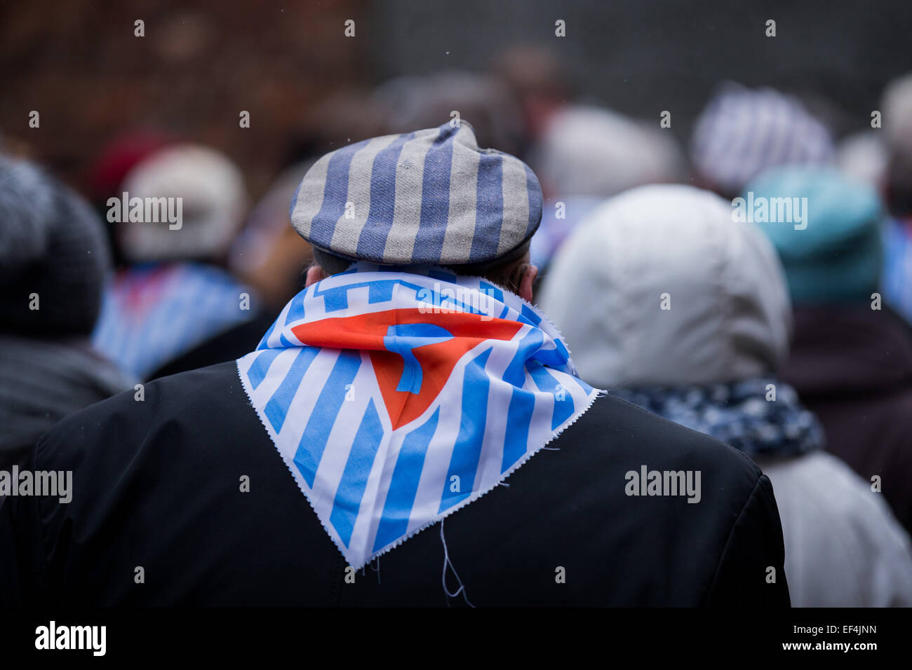 Oswiecim, Polonia. 27 gennaio, 2015. I sopravvissuti si alzano in piedi davanti al muro della morte dell ex Nazi-German concentrazione e campo di sterminio di Auschwitz KL ho prima di una cerimonia in occasione del settantesimo anniversario della liberazione della ex Nazi-German concentrazione e campo di sterminio di Auschwitz-Birkenau KL in Oświęcim, Polonia, 27 gennaio 2015. Foto: Rolf Vennenbernd/dpa/Alamy Live News Foto Stock