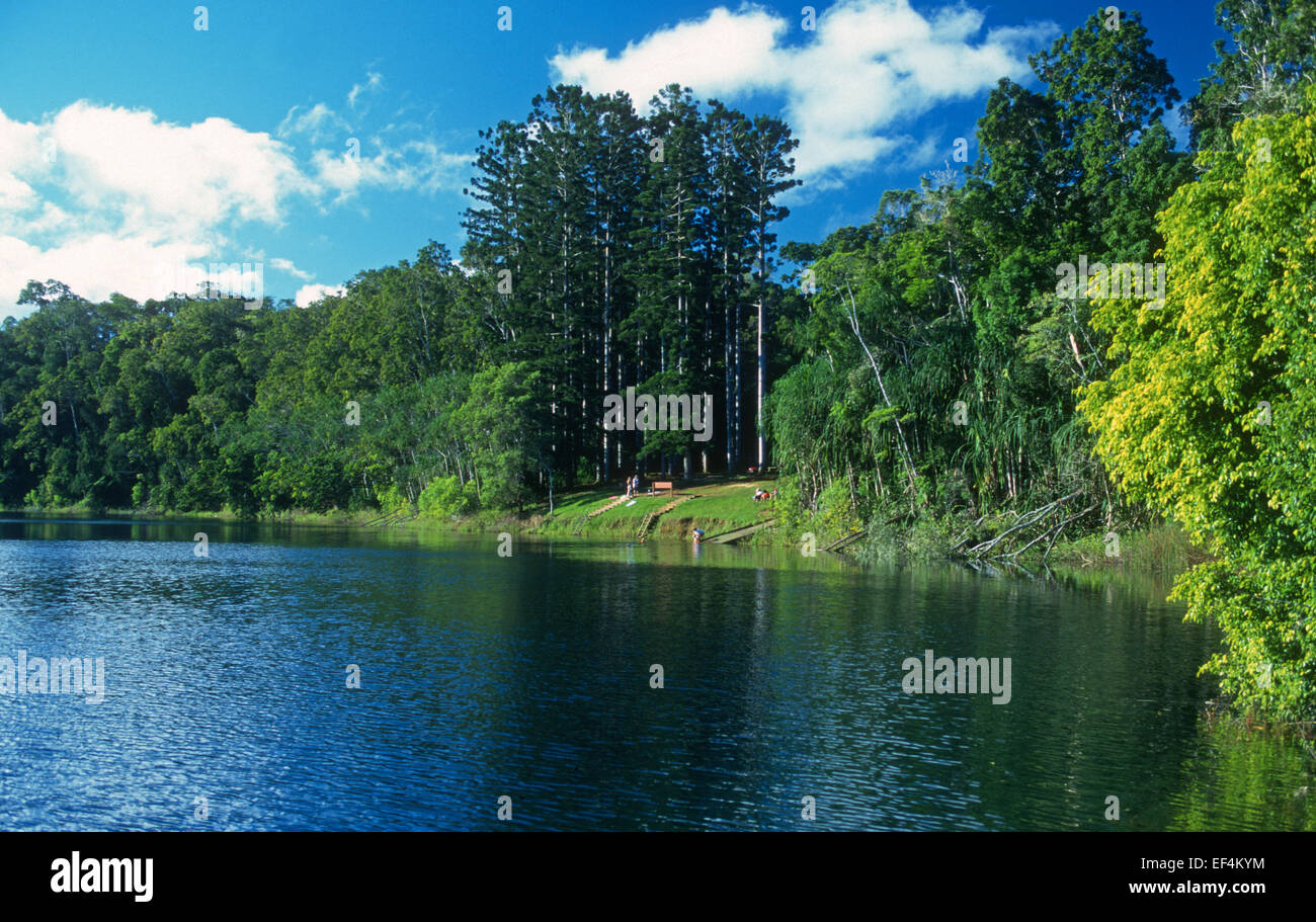 Lago Eacham, Atherton altipiano, Queensland, Australia. Foto Stock