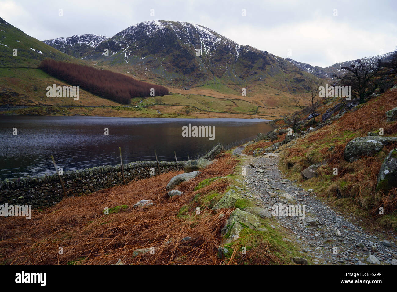 Scafell nel Parco Nazionale del Distretto dei Laghi, Cumbria Foto Stock