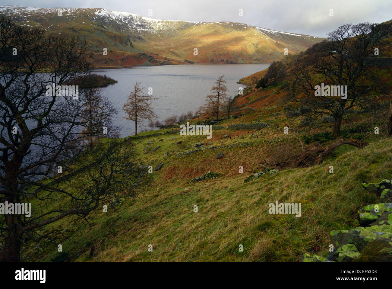 Scafell nel Parco Nazionale del Distretto dei Laghi, Cumbria Foto Stock