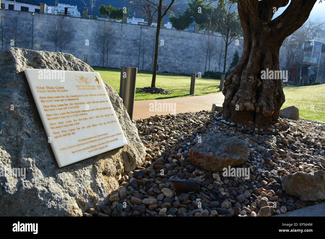 Gibilterra. Il 27 gennaio, 2015. Olocausto lapide al Commonwealth Park accanto a un ulivo marcatura "pace". Gibilterra contrassegnato internazionale il giorno dell'Olocausto. Una placca è stata svelata nel parco del Commonwealth a 1030 seguita da un ricevimento in Kings Bastion centro per lo svago con oltre duecento gli ospiti presenti. Credito: Stephen Ignacio/Alamy Live News Foto Stock