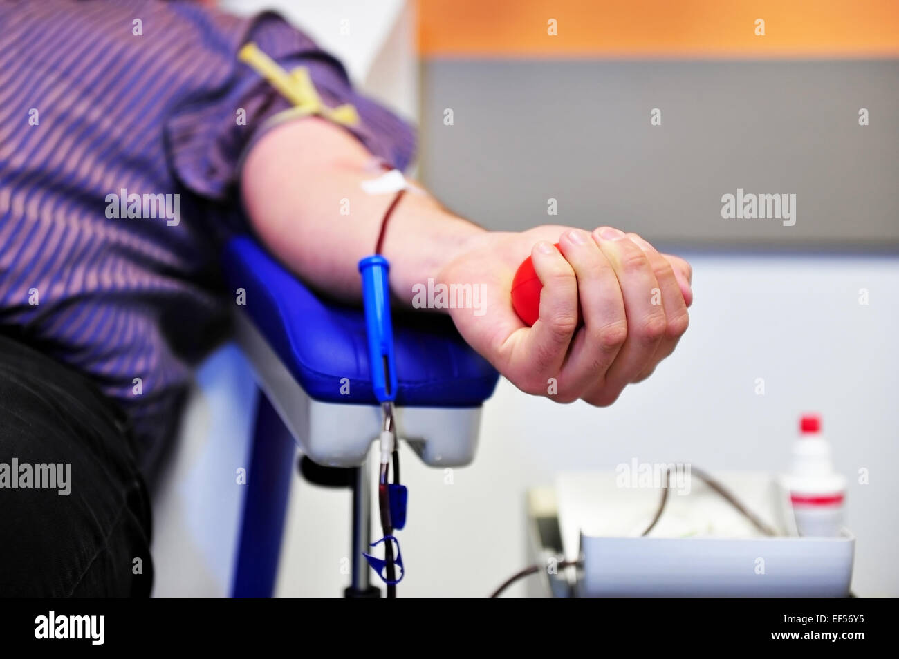 La mano di un donatore di sangue la spremitura di un medico di sfera in gomma Foto Stock