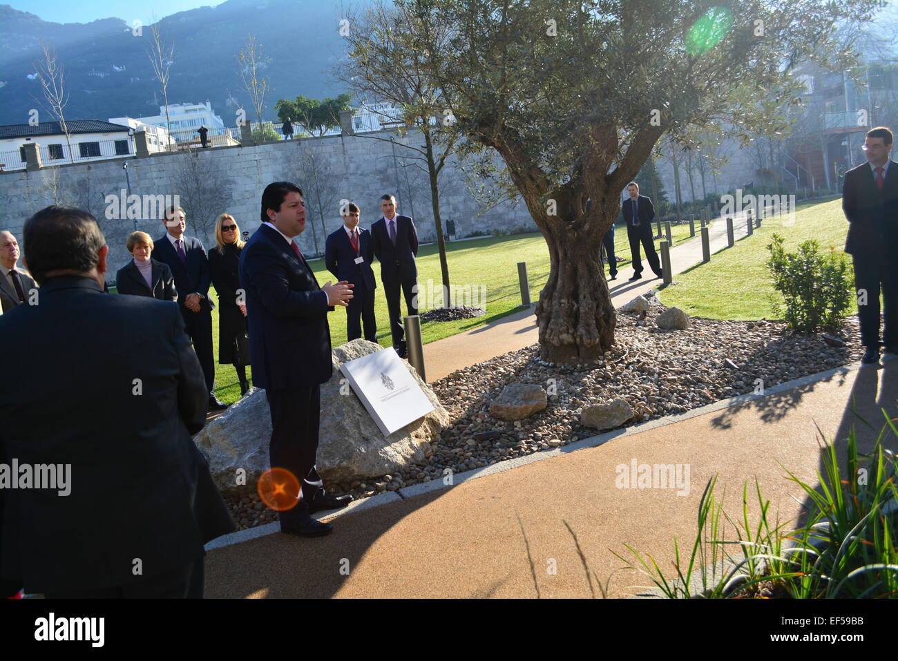 Gibilterra. Il 27 gennaio, 2015. Olocausto lapide al Commonwealth Park accanto a un ulivo marcatura "pace". Gibilterra contrassegnato internazionale il giorno dell'Olocausto. Una placca è stata svelata nel parco del Commonwealth a 1030 seguita da un ricevimento in Kings Bastion centro per lo svago con oltre duecento gli ospiti presenti. Credito: Stephen Ignacio/Alamy Live News Foto Stock