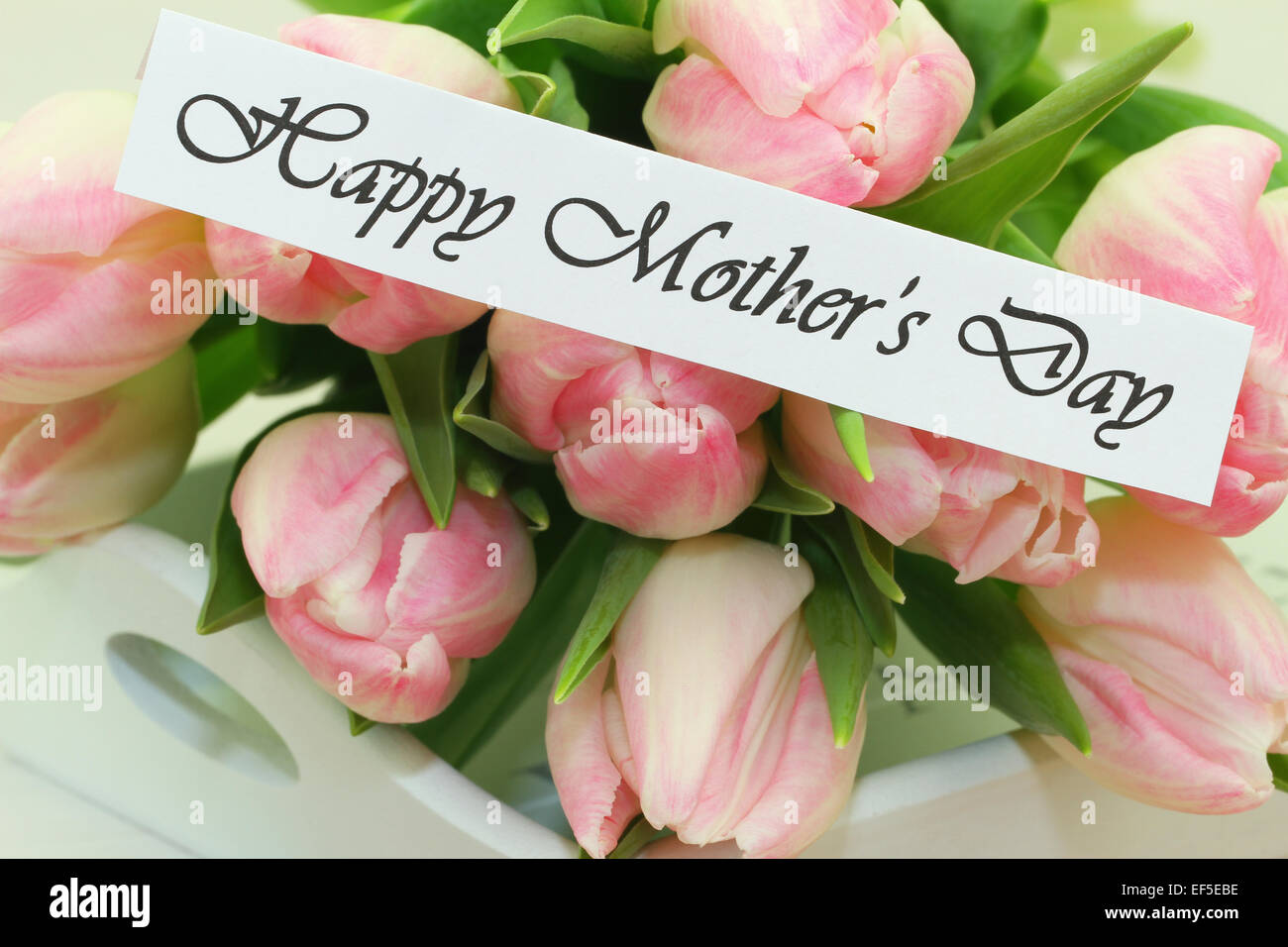 Felice Festa della Mamma card con tulipani rosa Foto Stock