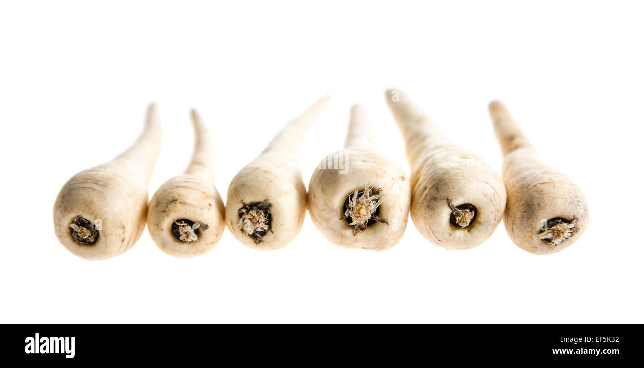 Fila di pastinaca su sfondo bianco Foto Stock