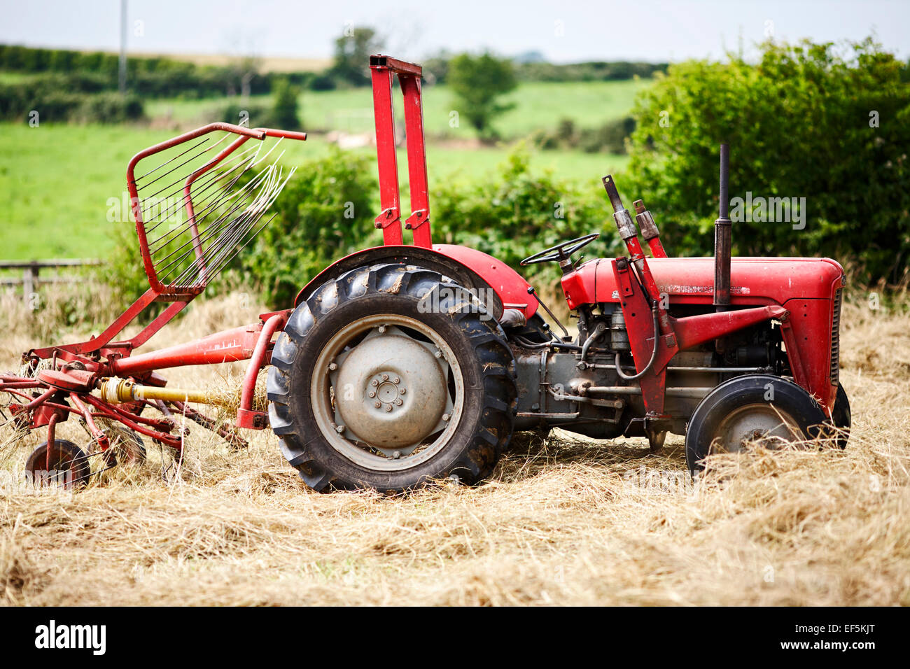 Il vecchio trattore Massey Ferguson su terreno coltivato nella contea di Down Irlanda Foto Stock