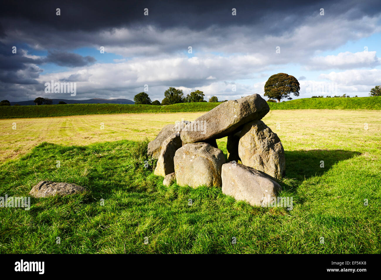 Anello dei giganti tomba megalitica henge Belfast Irlanda del Nord Foto Stock