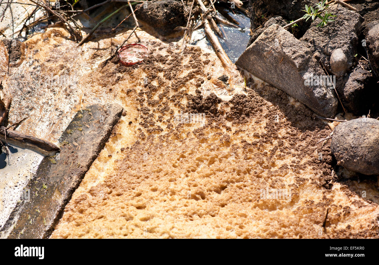 L'acqua sporca di schiuma immondizia sul fiume Foto Stock