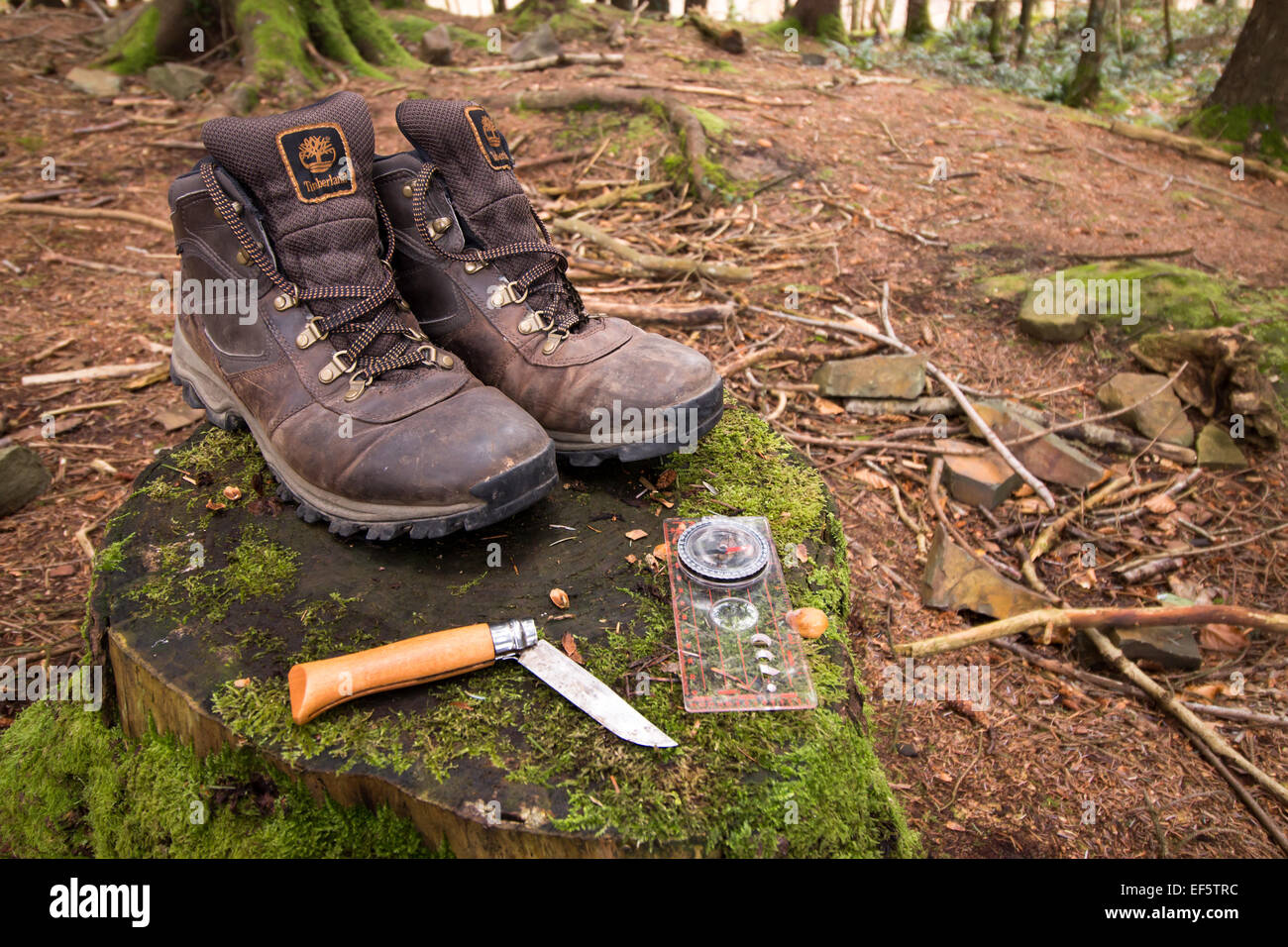 Scarponi per bosco store