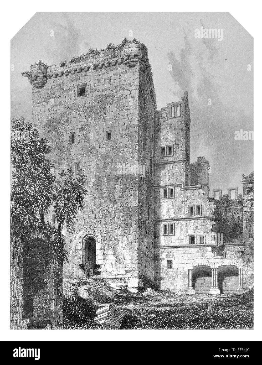 1852 il cortile del castello medievale Campbell Gloom Dollar Glen Clackmannanshire Scozia Scotland Foto Stock