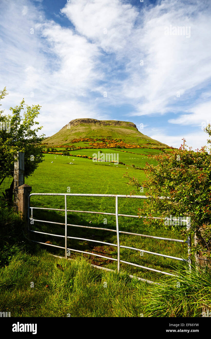 Lurigethan mountain glenariff County Antrim Irlanda Foto Stock