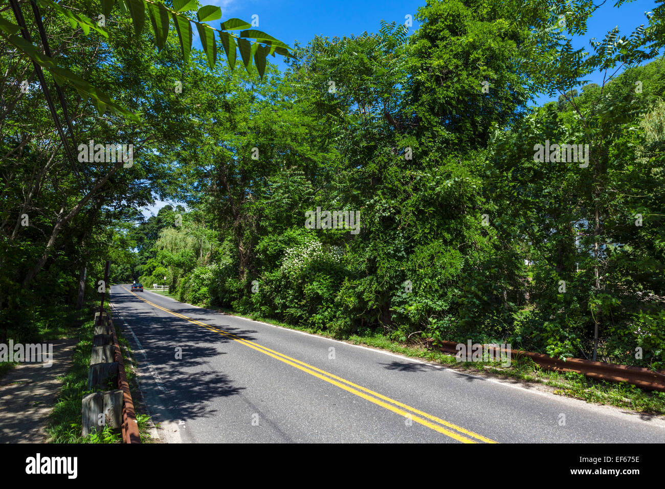 Country Road in Cold Spring Harbor, Huntington, contea di Suffolk, Long Island , NY, STATI UNITI D'AMERICA Foto Stock