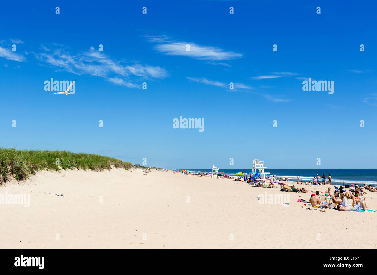 Atlantic Avenue Beach, Amagansett, East Hampton, contea di Suffolk, Long Island , NY, STATI UNITI D'AMERICA Foto Stock